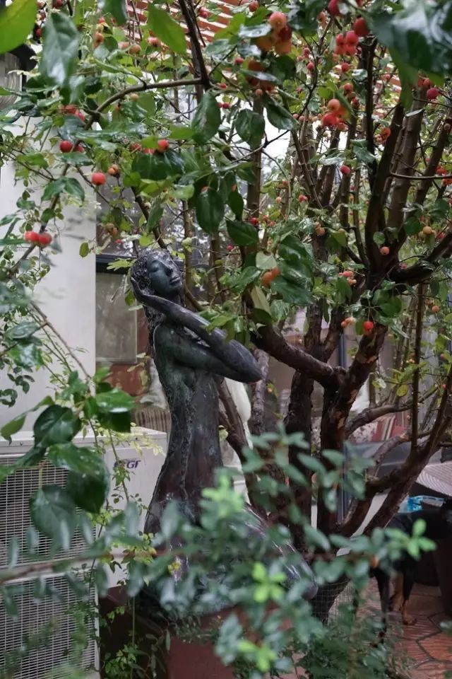 图片 图片