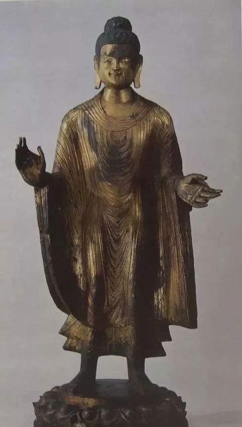 20201012zhuchongshou3.png
