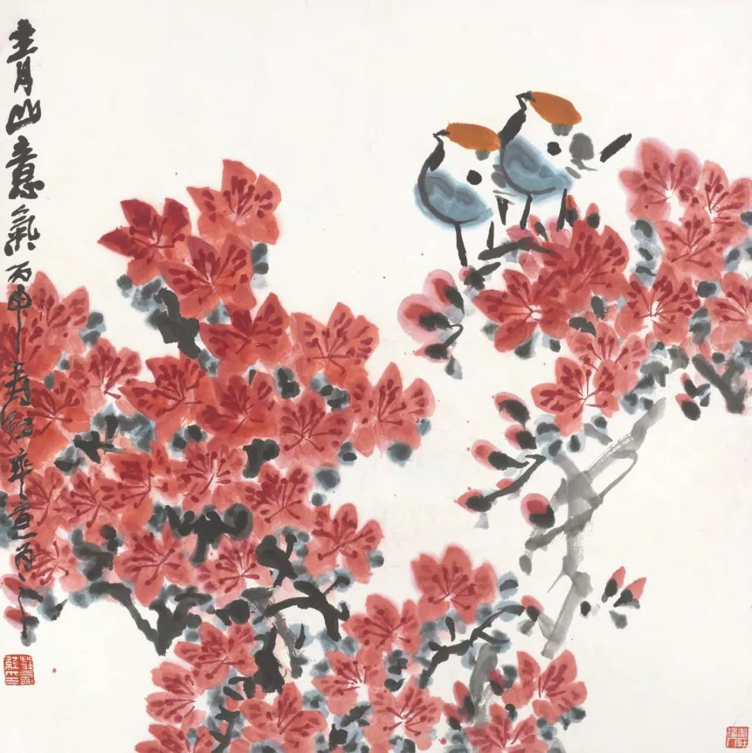 图片 图片