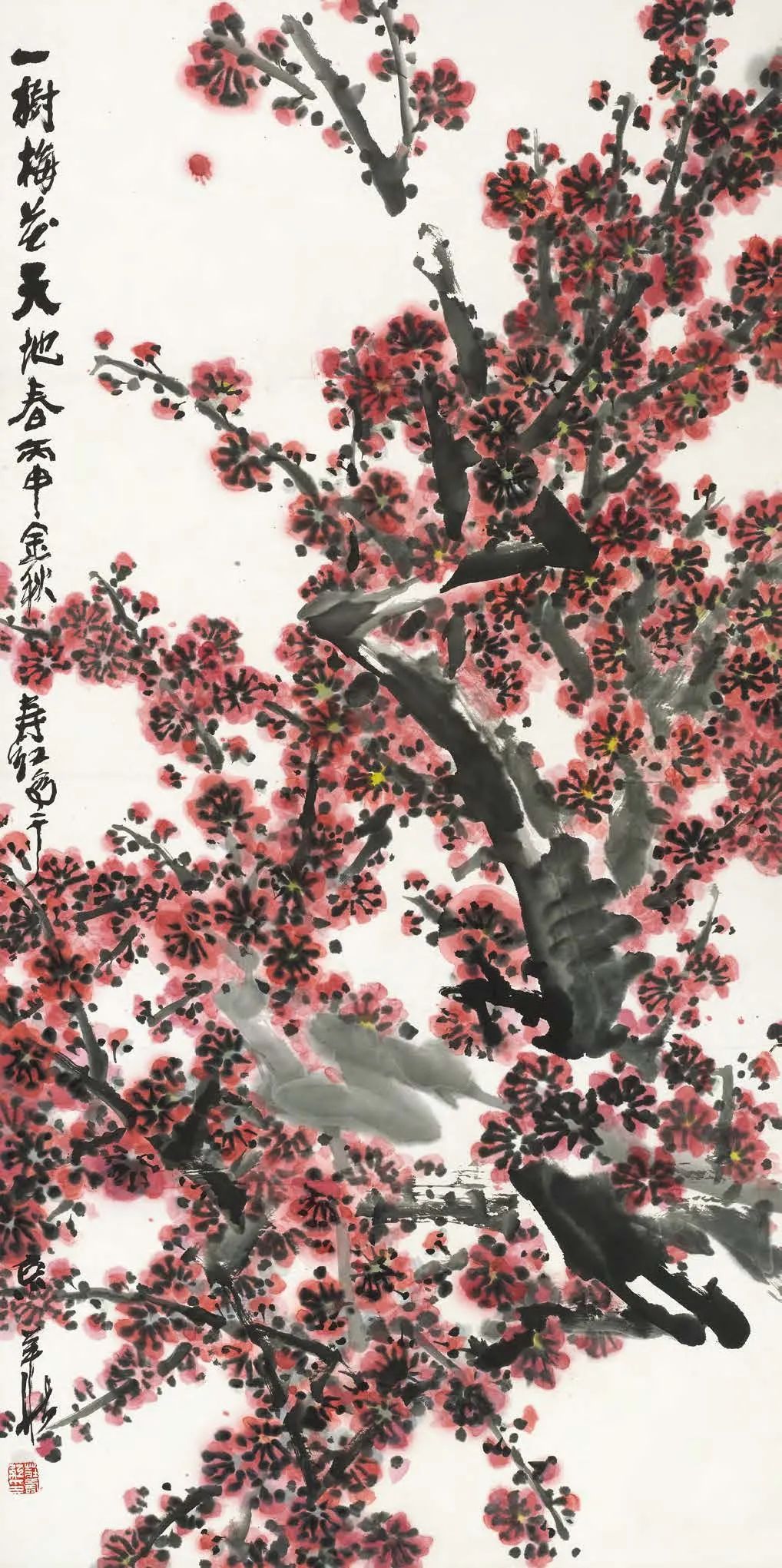 图片 图片