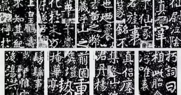 20201012zhuchongshou28.jpg