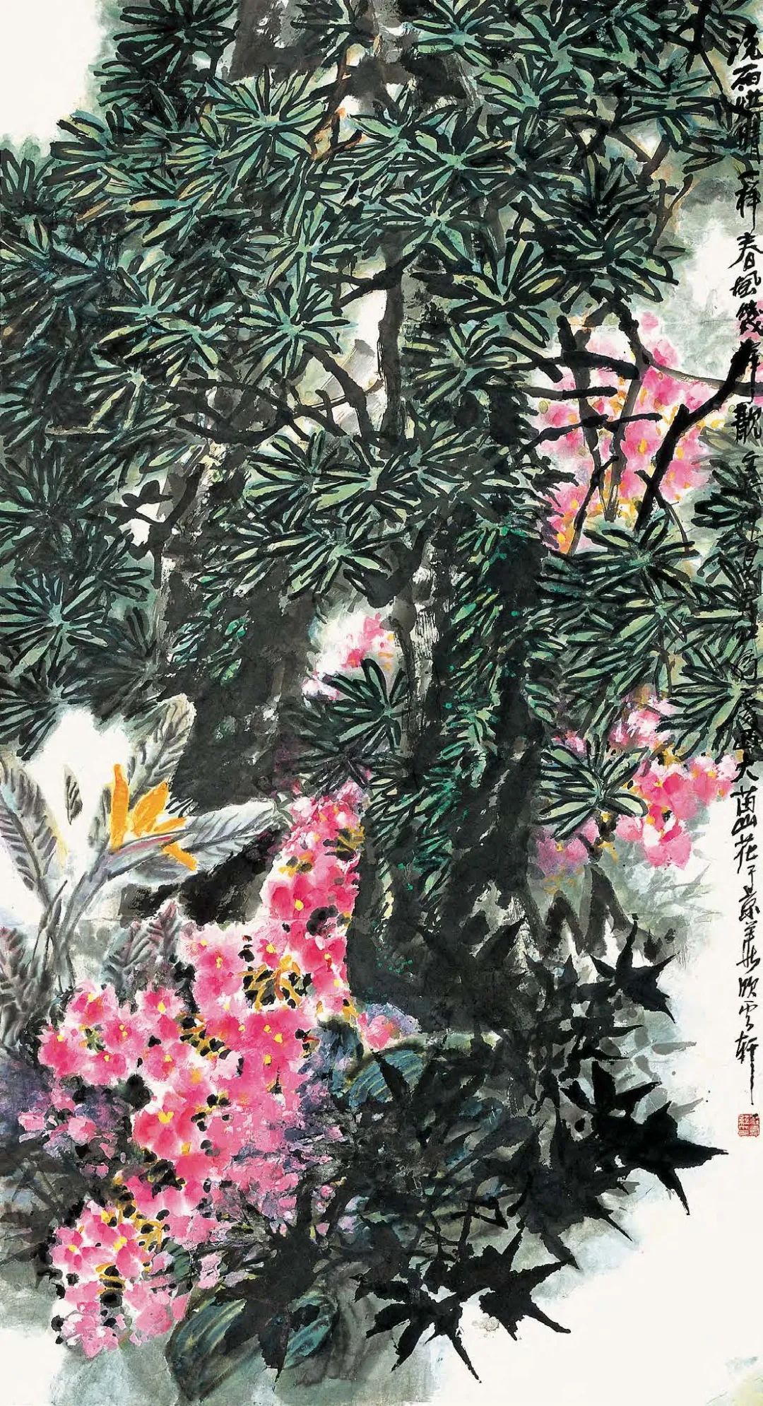 图片 图片