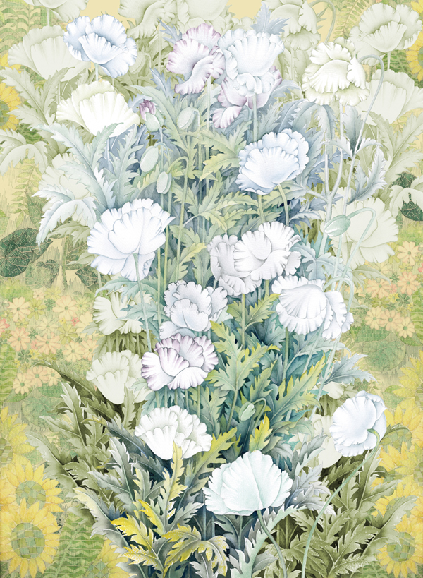 20190627jiajs9.jpg