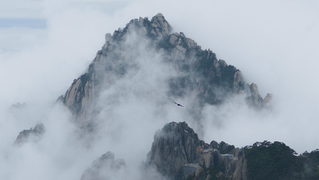 20190903sheyinghan19.jpg