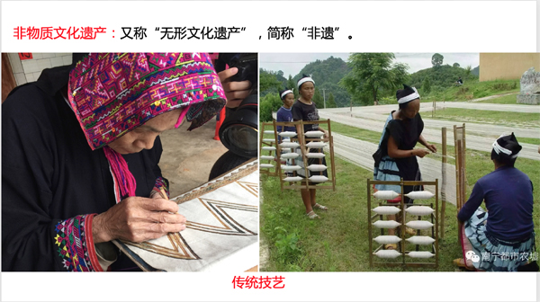 20201007jiajingsheng3.jpg
